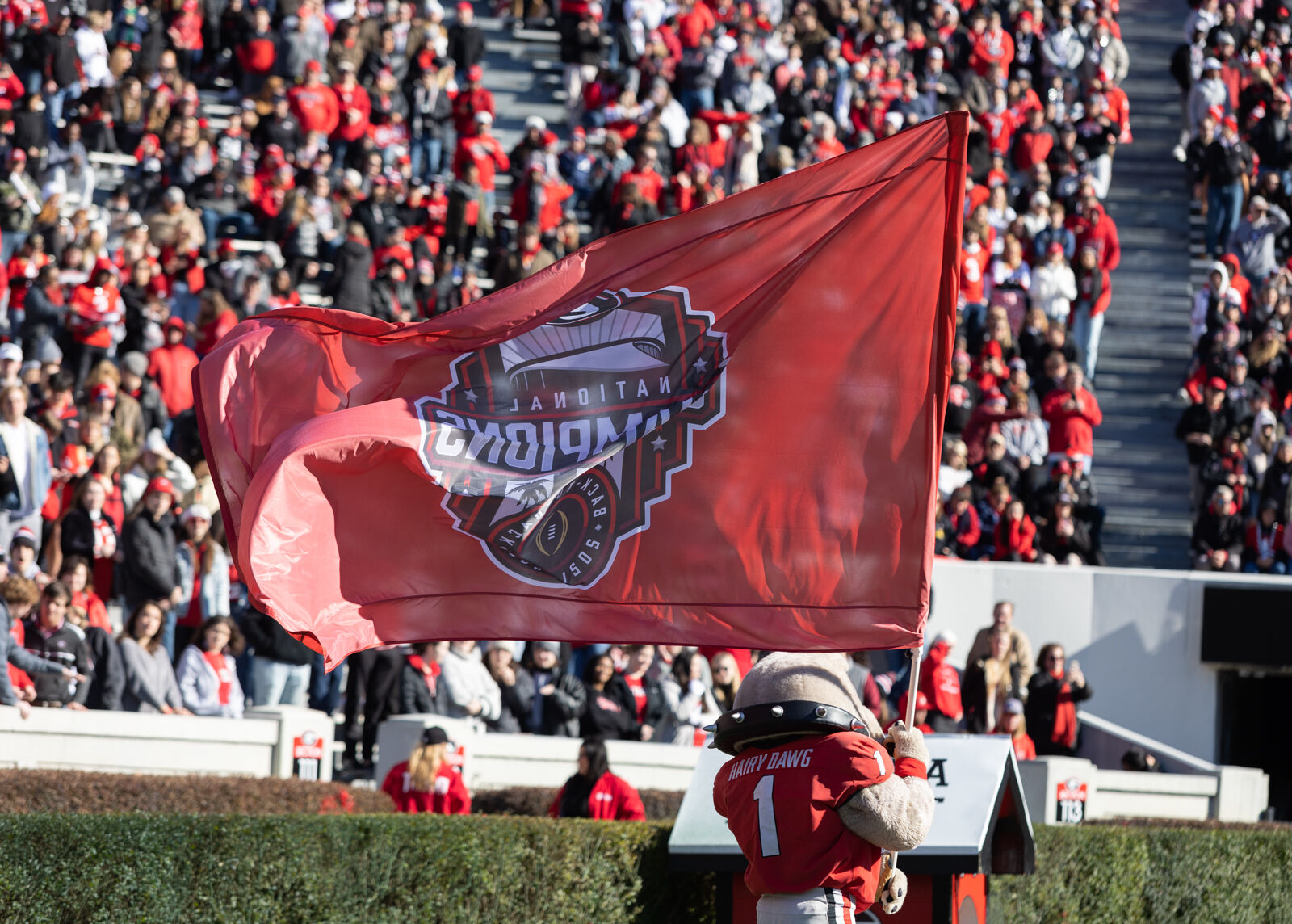 230114_KAT_NattyCelebration_323.jpg